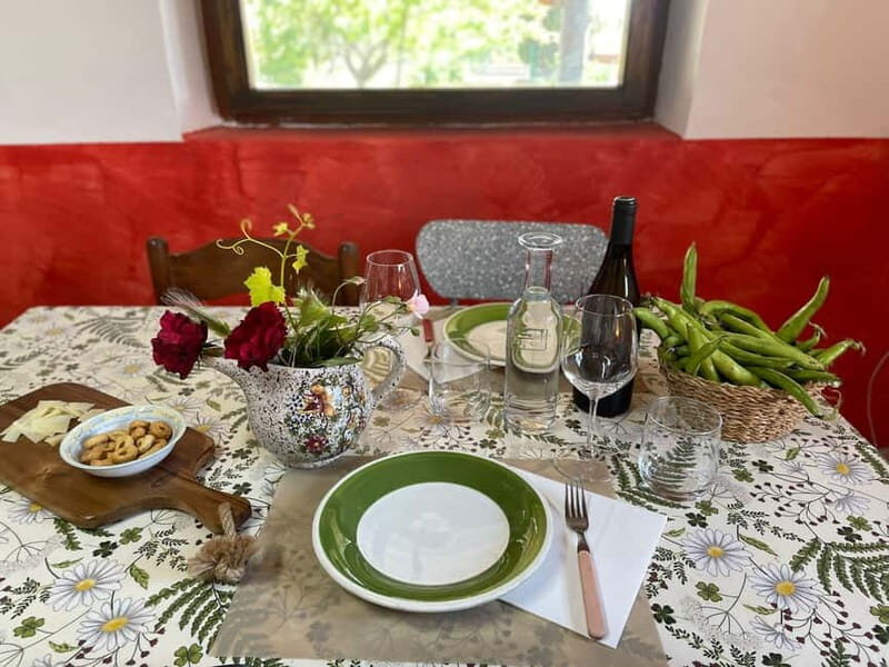 Frascati: Vineyard Wine Tasting Tour with Snacks - Frascati: Vineyard Wine Tasting Tour with Snacks