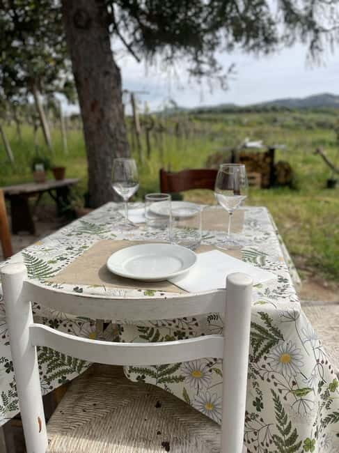 Frascati: Vineyard Wine Tasting Tour with Snacks - Who Will Love This Experience?