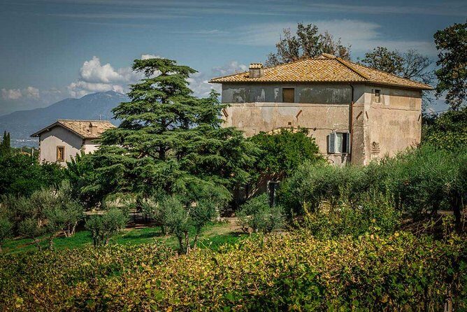 Frascati Wine Tasting Tour: The Flavors of the Roman Countryside - Key Points