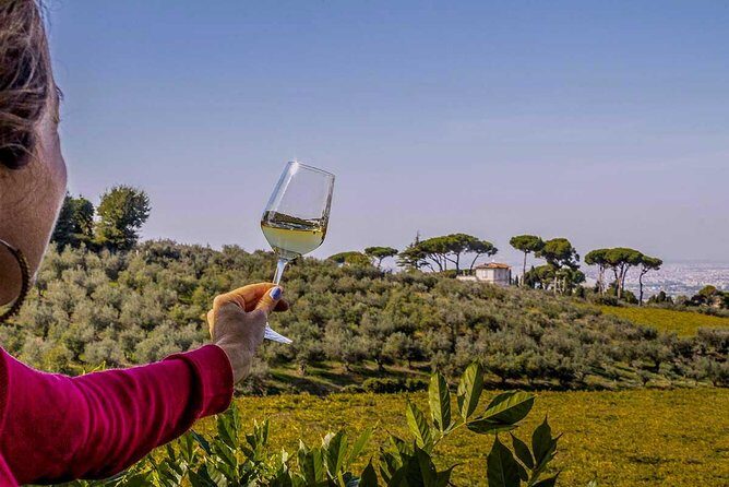 Frascati Wine Tasting Tour: The Flavors of the Roman Countryside - FAQ