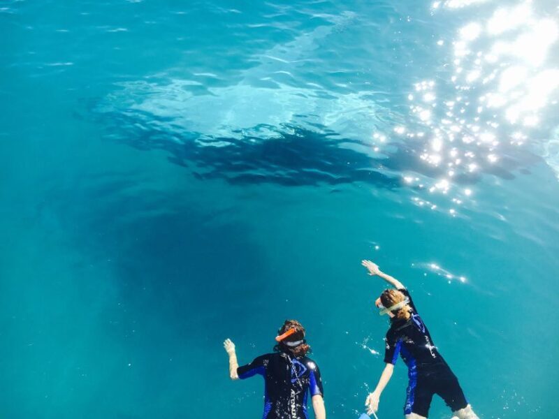 Fraser Island (K'gari): Remote Island and Whale Experience - Final Thoughts: Who Will Love This Tour?