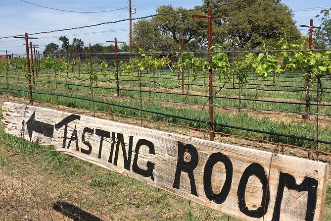 Fredericksburg Hill Country Aficionado Wine Tour from San Antonio - The Value of This Tour