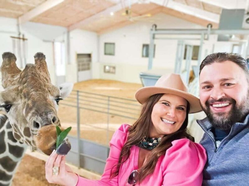 Fredericksburg: Longneck Manor Animal Encounter - Key Points