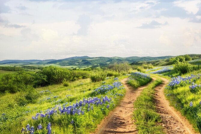 Fredericksburg Luxury Shopping and History and Culture Tour - Final Words