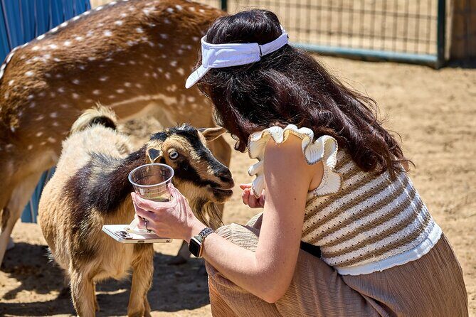 Fredericksburg Safari Tour With Wine Tasting - Analyzing the Value: Is It Worth the Price?