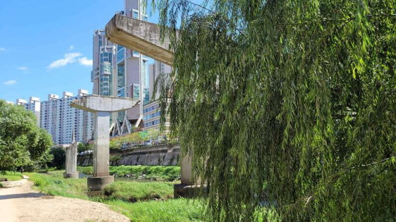 Free day in private Seoul with English-speaking guide - Final Thoughts