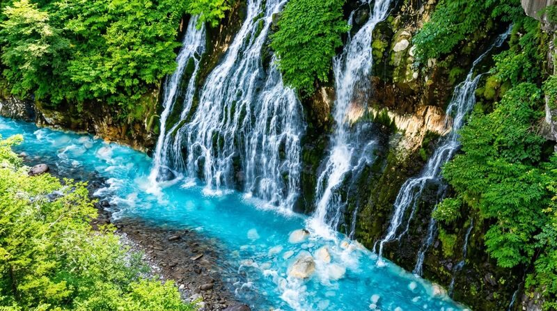 Free Shikisai-no-Oka Flower Viewing Ticket + Flower Field Tractor Tour: Hokkaido Biei Furano Flower Fields, Patchwork Road (drive-by), Seven Star Tree, Shirogane Blue Pond, Shirasu Falls, Shikisai-no-Oka, Farm Tomita (departing from Sapporo) - Shikisai-no-Oka: the main flower-field stop