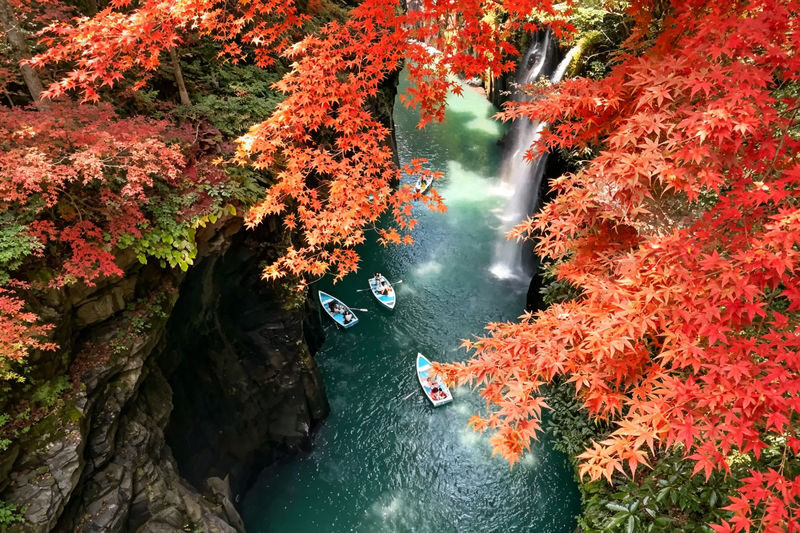 (Free specialty burger) Kyushu Fukuoka Takachiho Gorge and Small Train Day Tour, optional boat ride experience - What this Fukuoka day trip promises