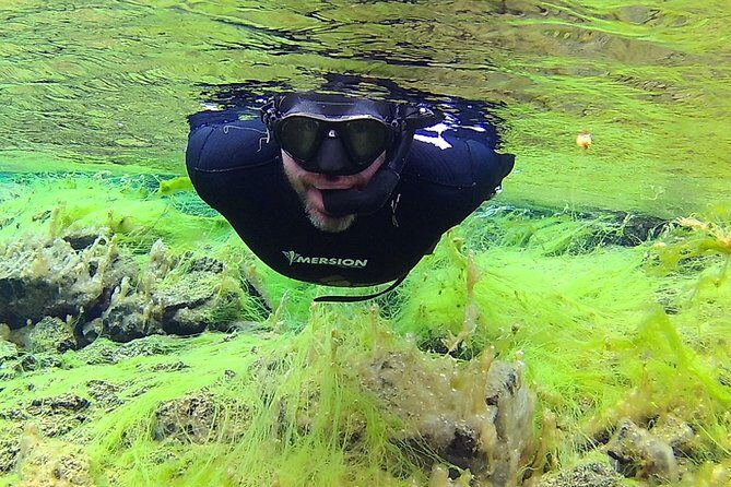 Freedive Silfra Half Day Tour - Final Thoughts — Is This Tour for You?