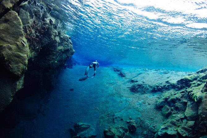 Freedive Silfra Half Day Tour - FAQ