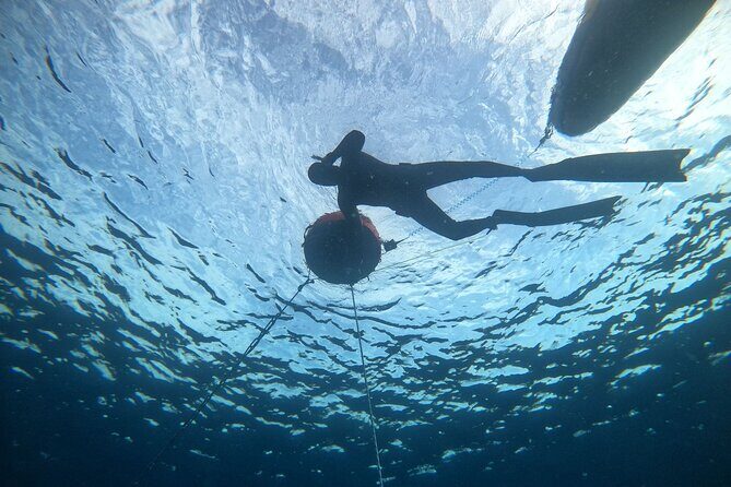 Freediving at Museum Atlantico - An In-Depth Look at Freediving at Museum Atlantico