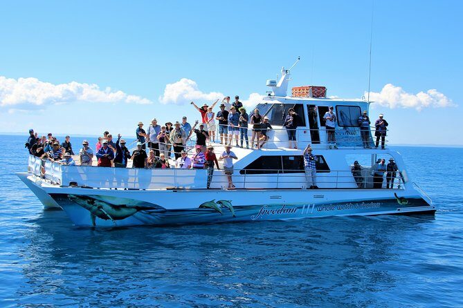 Freedom 3/4 Day Hervey Bay Premium Whale Watching Cruise - A Deep Dive into the Hervey Bay Whale Watching Tour