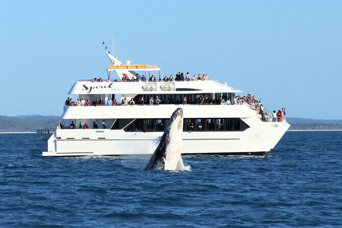 Freedom 3/4 Day Hervey Bay Premium Whale Watching Cruise - Frequently Asked Questions