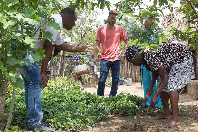Freedom Tour of Palenque - FAQ