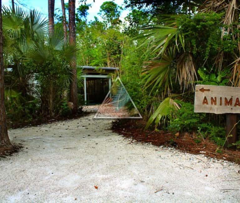 Freeport: Grand Bahama Culture, History & Local Flavors Tour - Practical Details: Making the Most of Your Experience