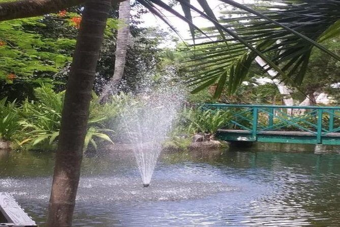 Freeport Shore Excursion: Garden of the Groves and City Tour - Who Would Love This Tour?