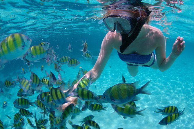 Freeport Snorkeling Peterson Cay National Park and Hotel Day Pass - Key Points