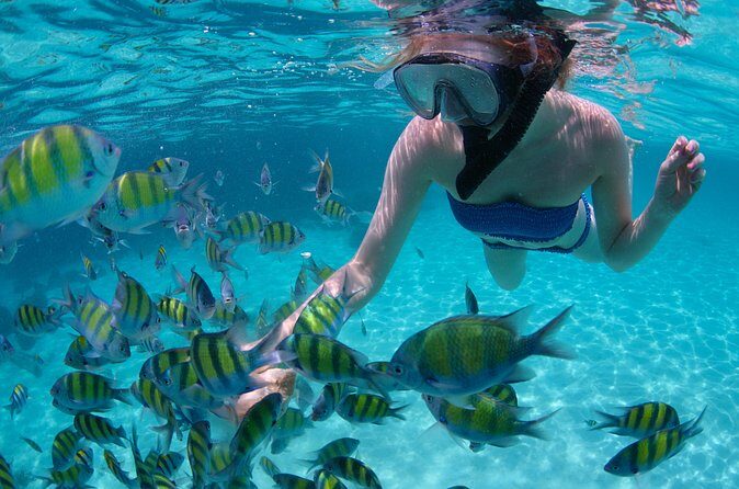 Freeport Snorkeling Peterson Cay National Park and Hotel Day Pass - Authentic Voices: What Travelers Say