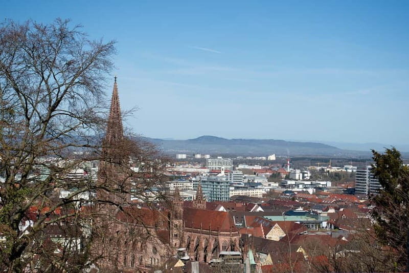 Freiburg City Tour: with visit of the Freiburg Minster - A Complete Look at the Freiburg City Tour Experience