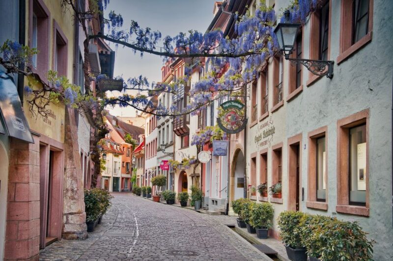 Freiburg: Gässle, Bächle and More City Tour - A Deep Dive into Freiburg’s Old Town
