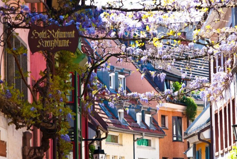 Freiburg: Gässle, Bächle and More City Tour - Why This Tour Is Worth Your Time