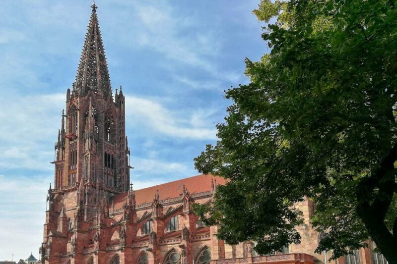 Freiburg: Gässle, Bächle and More City Tour - Who Will Appreciate This Tour?