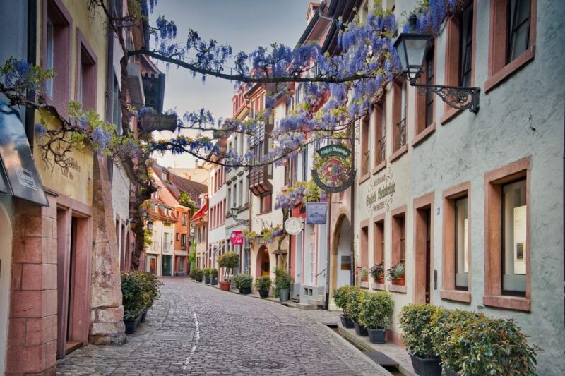 Freiburg im Breisgau: old town privat walking tour Italian - Haus zum Walfisch and the Whale House