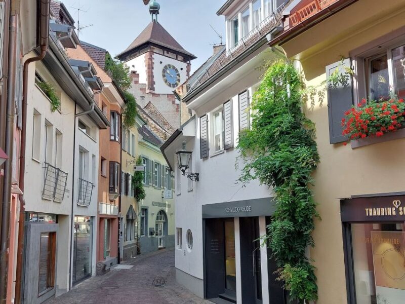 Freiburg: Walking and Strolling the Historic Center - Who Should Consider This Tour?
