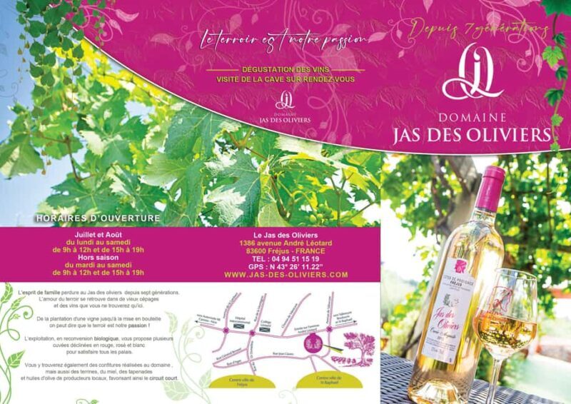 Fréjus: Cave tour and wine tasting - A Closer Look at Fréjus: Cave Tour and Wine Tasting