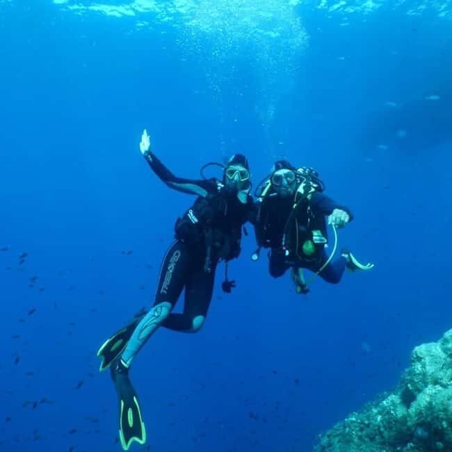 Fréjus: Diving Experience in Port-Fréjus with an Instructor - Value and Practical Tips