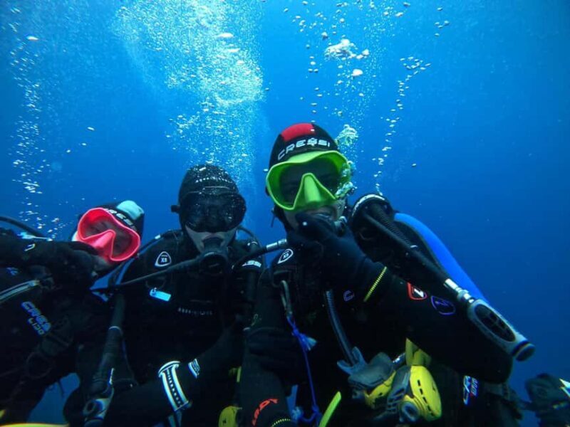Fréjus: Diving Experience in Port-Fréjus with an Instructor - The Sum Up: Who Should Consider This?