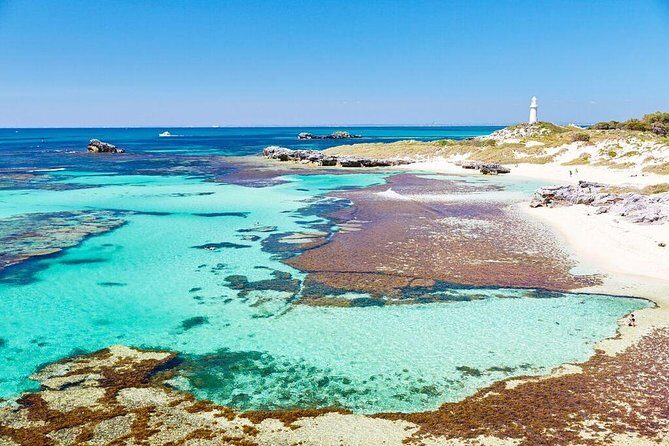 Fremantle to Rottnest Island Roundtrip Ferry Ticket - Analyzing the Value of This Tour