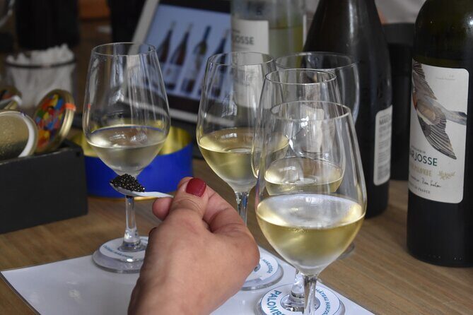 "FRENCH EXCELLENCE" : Fine Wines & Delicacies pairing Workshop - The Sum Up: Who Will Benefit Most?