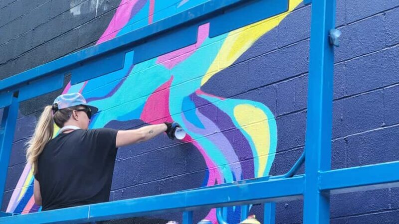 French Guided Tour of Brooklyn Bushwick and Williamsburg - Key Points