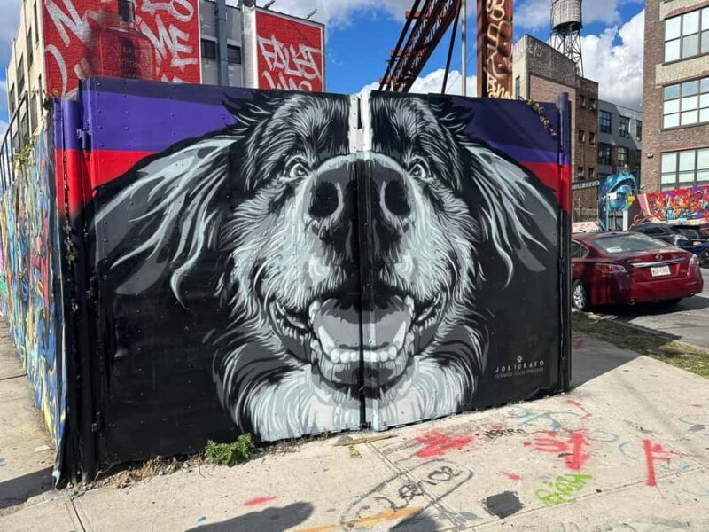 French Guided Tour of Brooklyn Bushwick and Williamsburg - FAQ