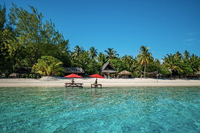 French Polynesia Snorkeling and 4X4 Adventure Tour with Buffet - Exploring Bora Bora: A Deep Dive into the Snorkeling and 4X4 Tour