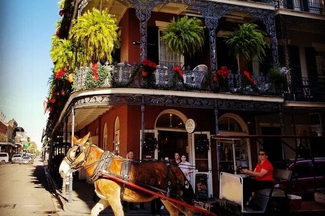 French Quarter Tour with Local Guide and Creole Stories - Key Points