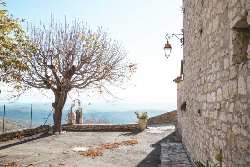 French Riviera and Provence Private Day Trip - Who Should Consider This Tour?