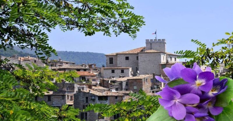French Riviera: Countryside Half-Day Tour from Nice - Who Is This Tour Best For?