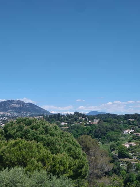 French Riviera Full Day Tour - An In-Depth Look at the French Riviera Full Day Tour