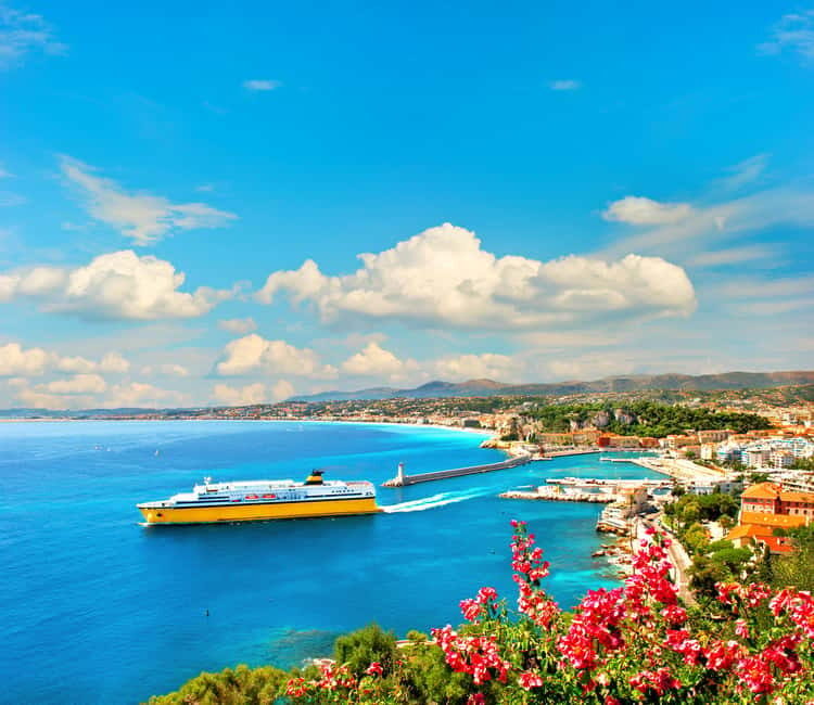 French Riviera: Half-Day Private Tour and Transfer - Key Points