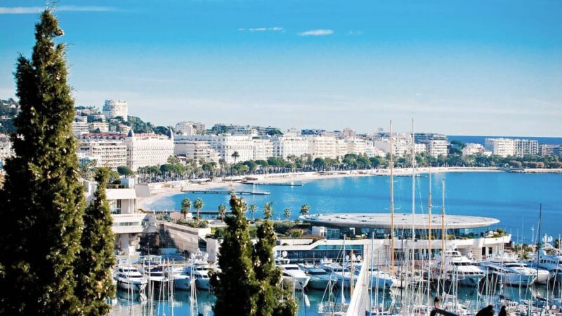 French Riviera: Private Driver Guide Tailor-Made Tour - Pricing and Value Analysis