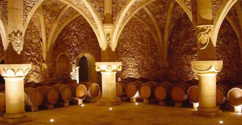 French Riviera: Provencal Wine Tour - Who This Tour Is Best For