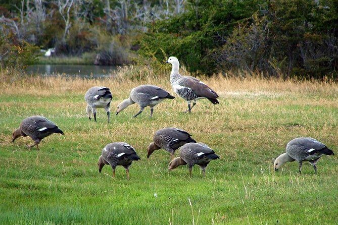 French Valley Hike in Torres Del Paine - A Deep Dive into the French Valley Hike Experience