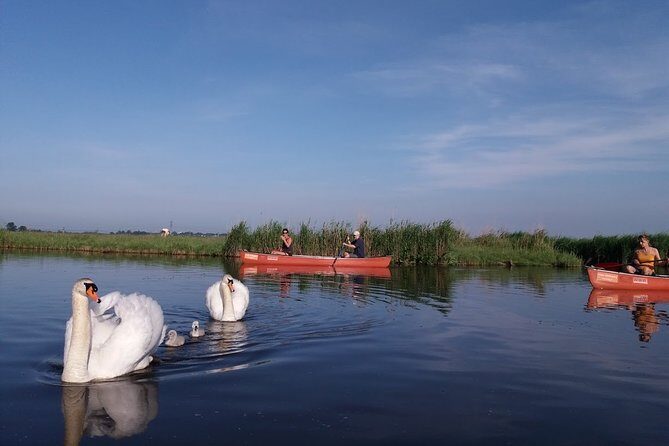 Fresh nose tour with the canoe through the nature near Amsterdam - Who Will Enjoy This Tour?