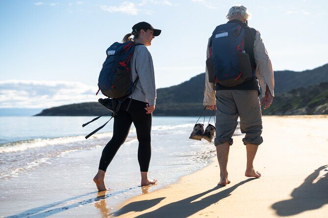 Freycinet Walking Tour - The Practical Side: What You Need to Know