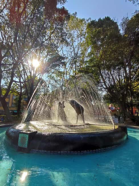 Frida Kahlo Museum Entry Ticket - Experience Frida Kahlo’s World with a Casa Azul Tour