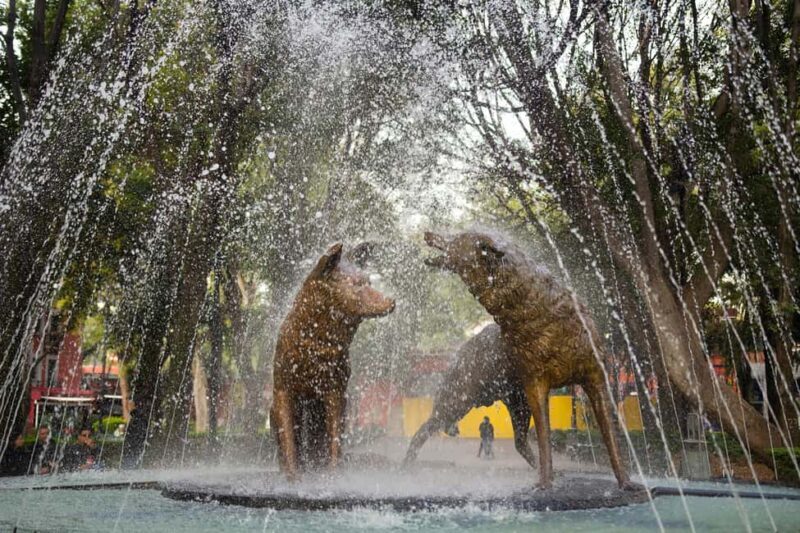 Frida Kahlo Museum Entry Ticket - Frequently Asked Questions