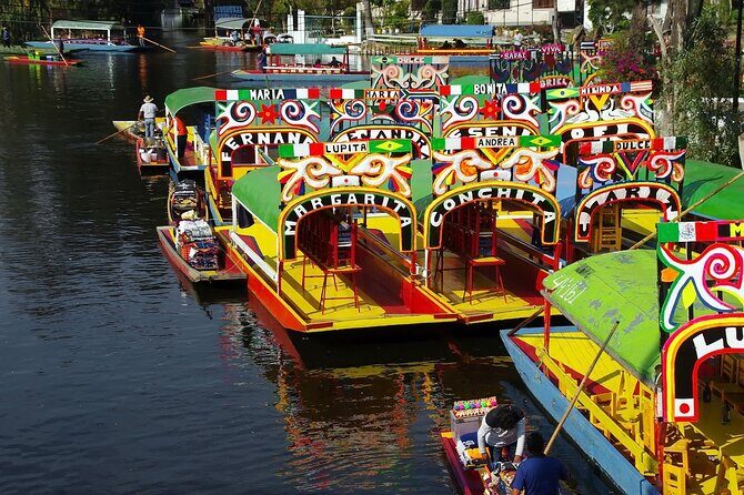 Frida Kahlo Xochimilco and University City - Exploring Mexico City: A Closer Look at the Tour