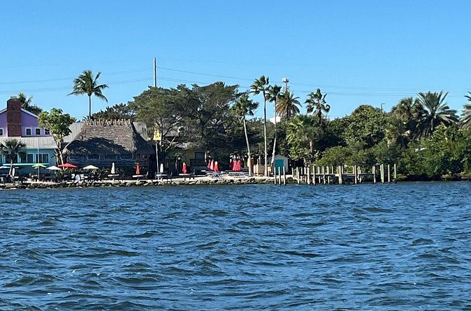 Friday and Saturday 1 pm Dolphin Tour - Final Thoughts